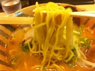 伝丸:麺