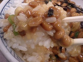 牛丼太郎
