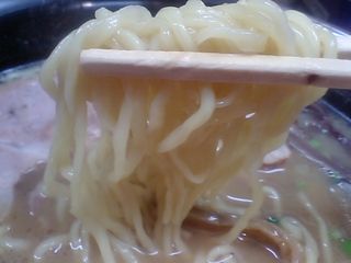 濃厚魚介だしラーメン 感謝×2 麺